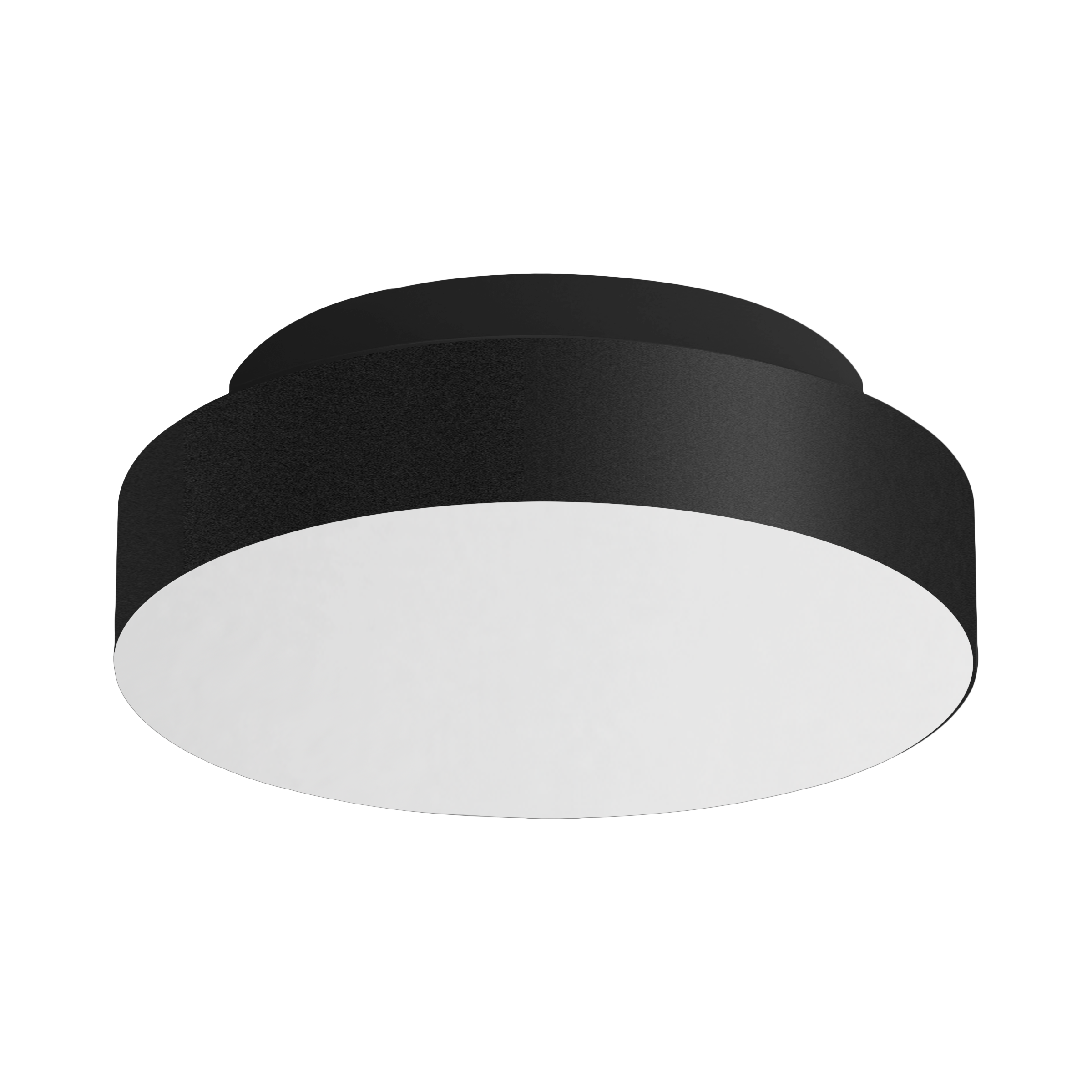 Abaco S Fixed Surface Mounted Downlight Textured Black