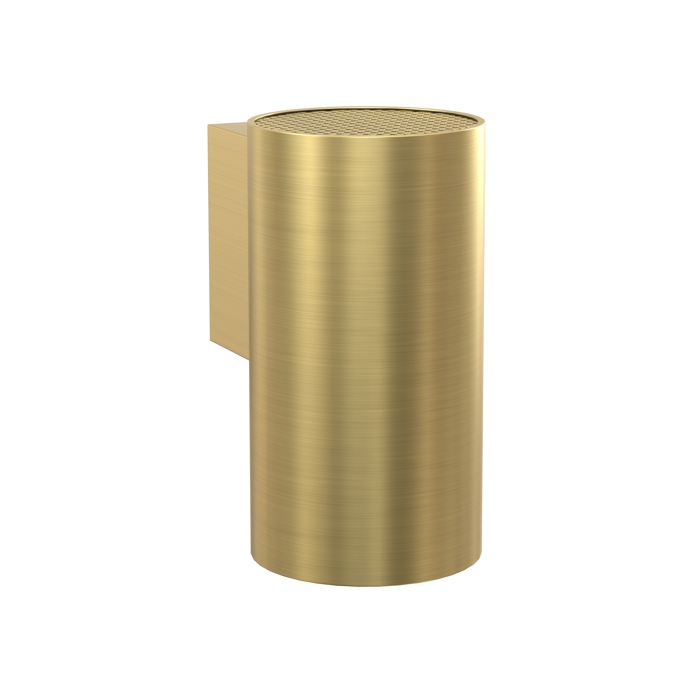 Heide Fixed Surface Mounted Wall Light Brushed Brass